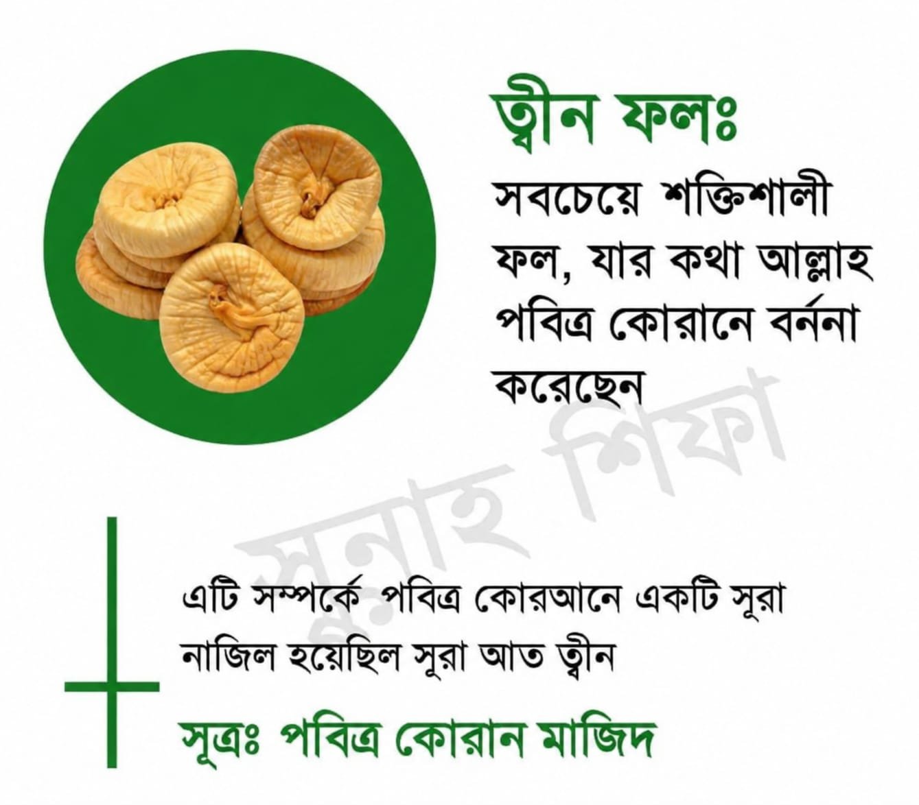 ত্বীন ফল