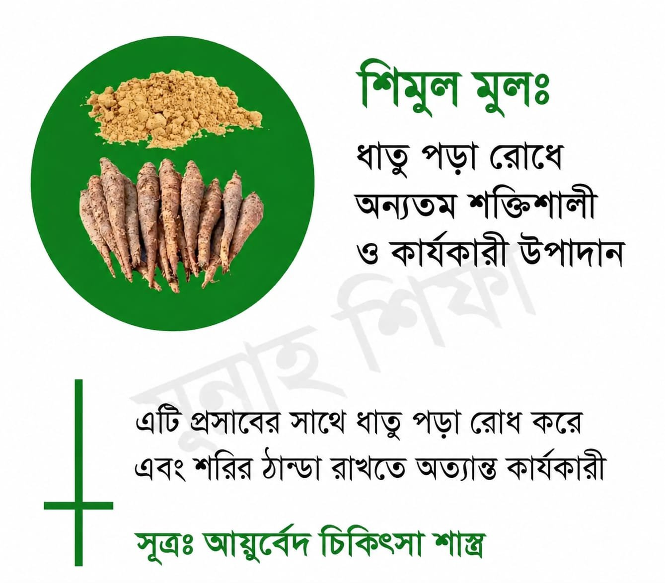 শিমুল মূল