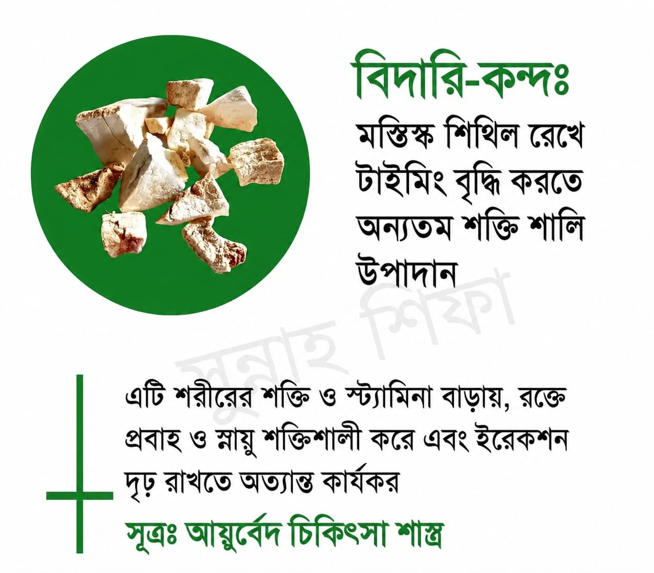 বিদারি-কন্দ
